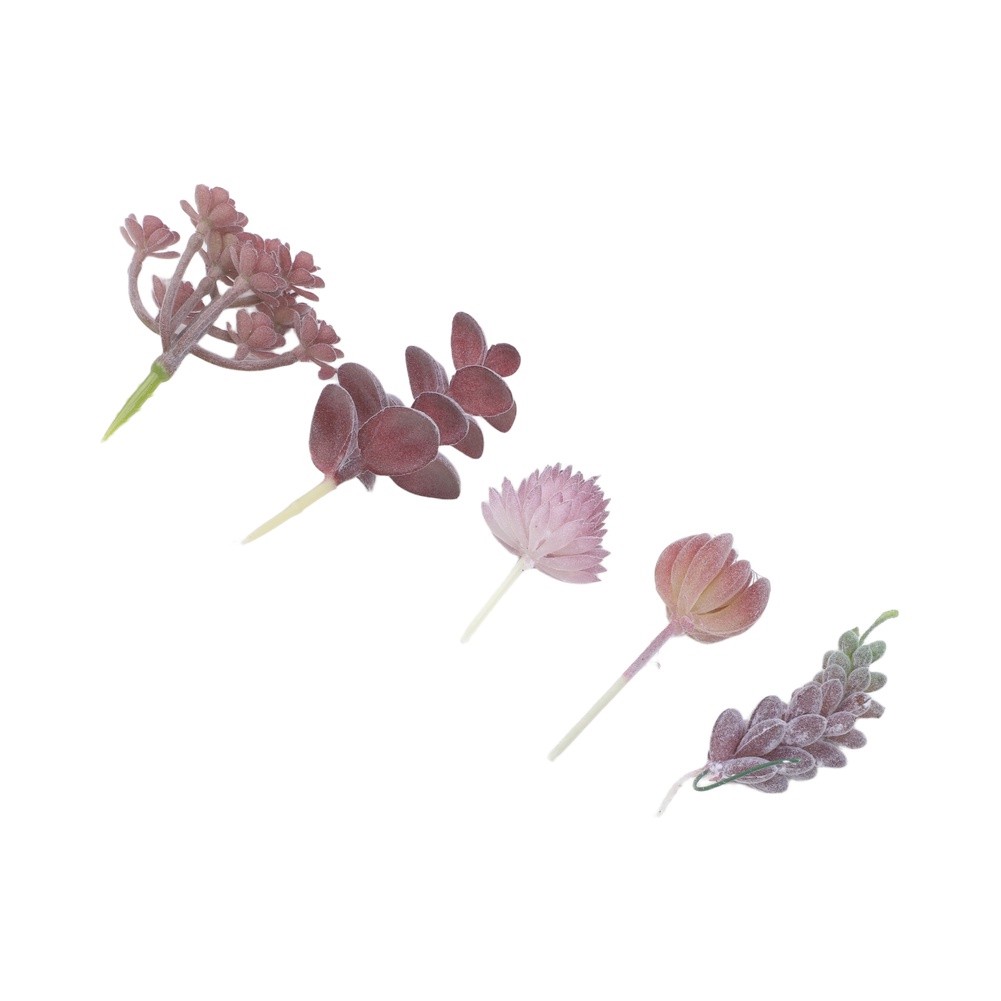Künstliche Mini-Bonsai-Sukkule – Succulent Arrangement Mini Bewertung und Preis