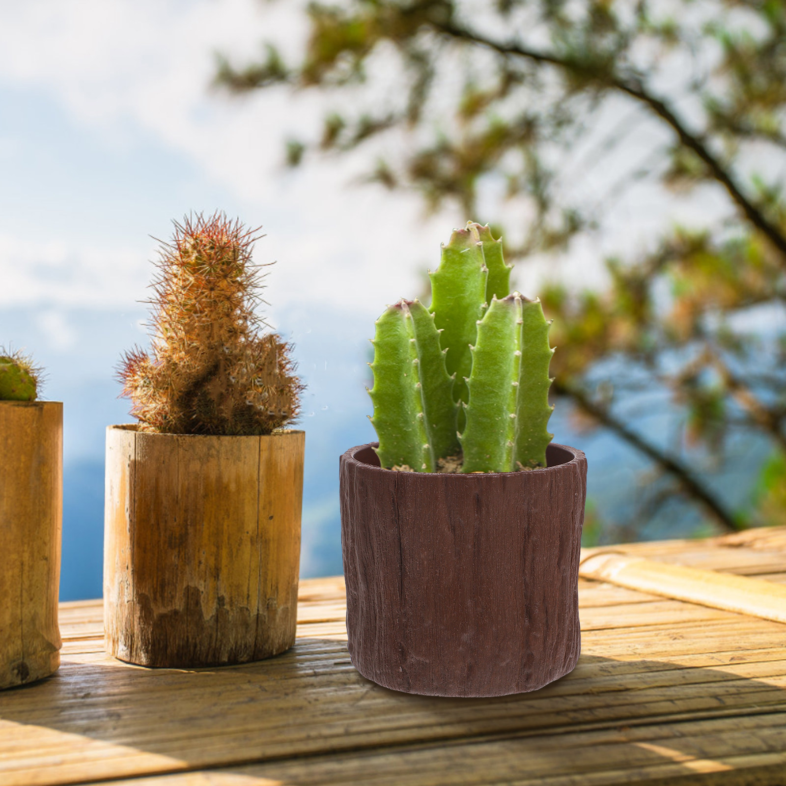 4 Stück Kunstholz-Blumentöpfe, – Succulent Arrangement Mini Bewertung und Preis