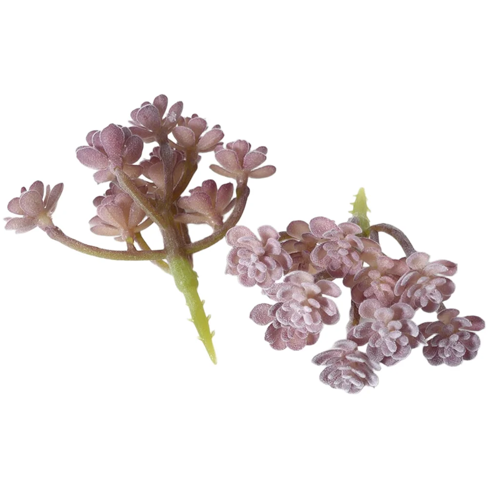 PVC-beflockte lila künstliche  – Succulent Arrangement Mini Bewertung und Preis