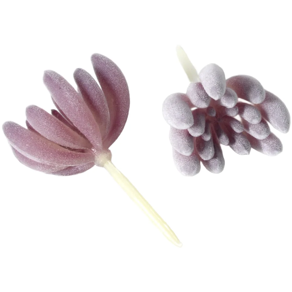 PVC-beflockte lila künstliche  – Succulent Arrangement Mini Bewertung und Preis