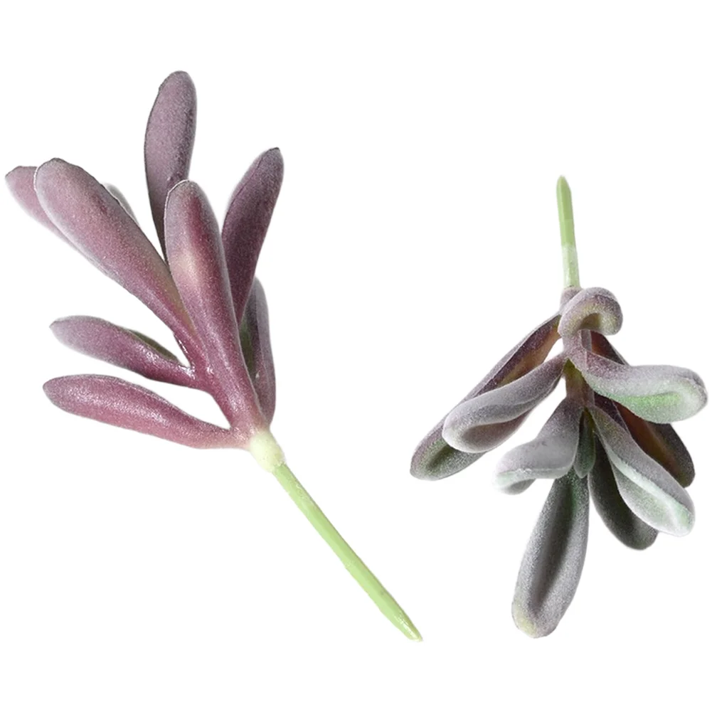 PVC-beflockte lila künstliche  – Succulent Arrangement Mini Bewertung und Preis