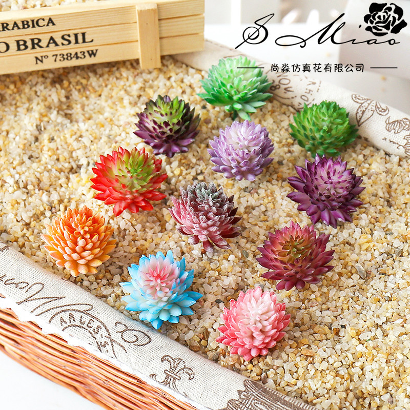Künstliche saftige Beflockung  – Succulent Arrangement Mini Bewertung und Preis