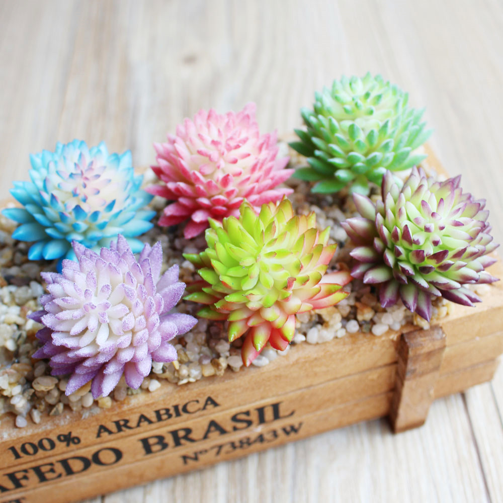 Künstliche saftige Beflockung  – Succulent Arrangement Mini Bewertung und Preis