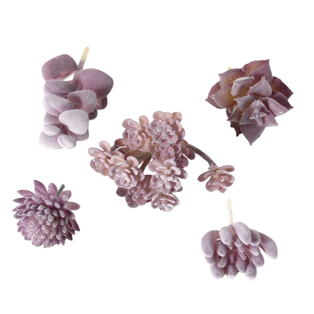 Kunststoffbasiertes Mini-Bonsa – Succulent Arrangement Mini Bewertung und Preis