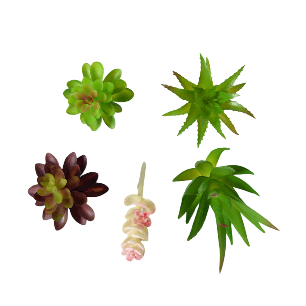 Kunststoffbasiertes Mini-Bonsa – Succulent Arrangement Mini Bewertung und Preis