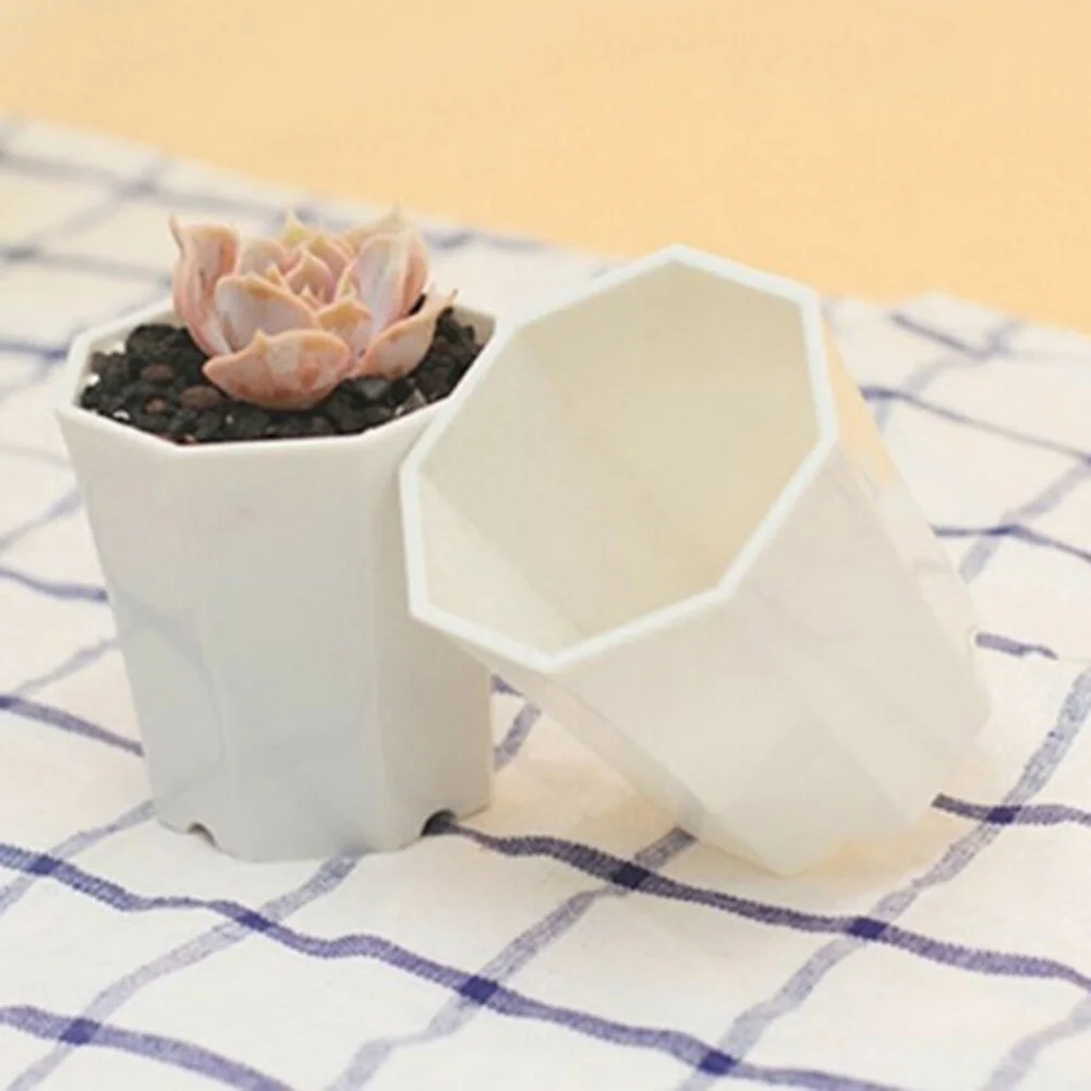10 Stück Kunststoff-Mini-Blume – Succulent Arrangement Mini Bewertung und Preis