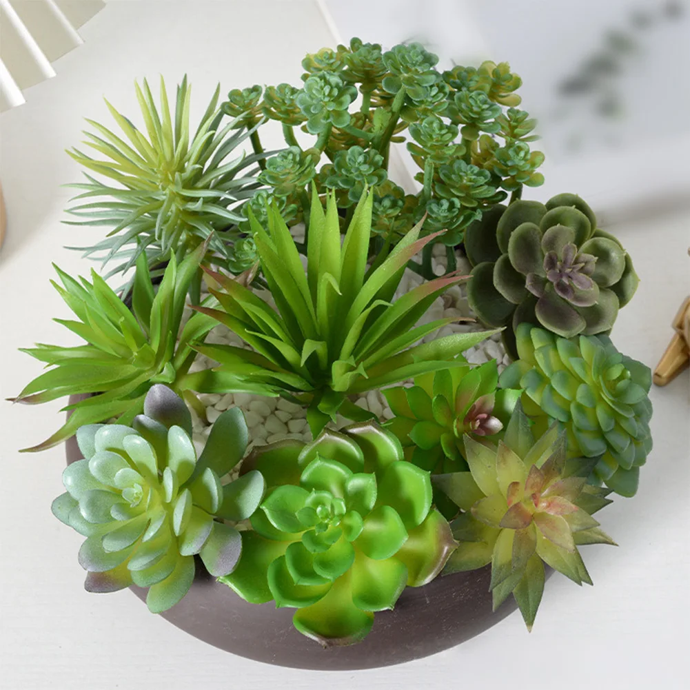 Geringer Pflegeaufwand für Min – Succulent Arrangement Mini Bewertung und Preis