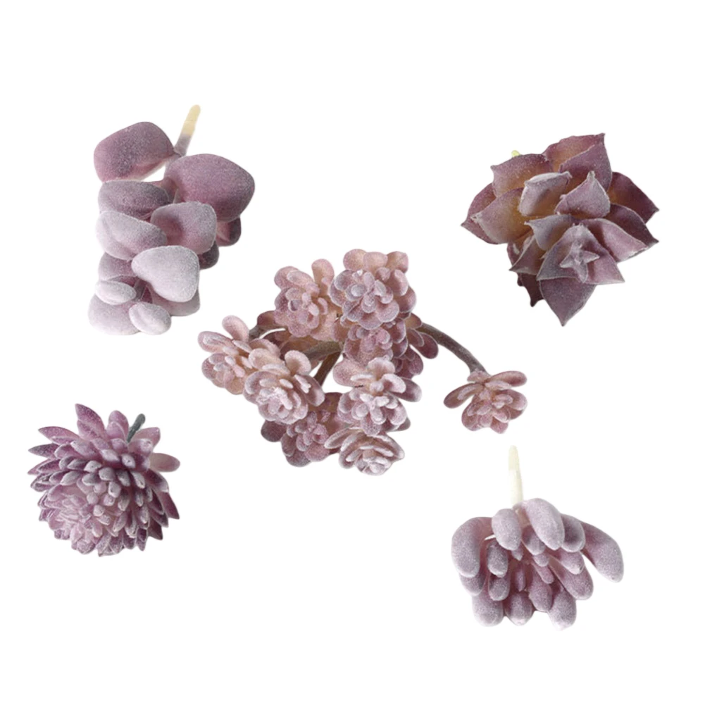 Geringer Pflegeaufwand für Min – Succulent Arrangement Mini Bewertung und Preis