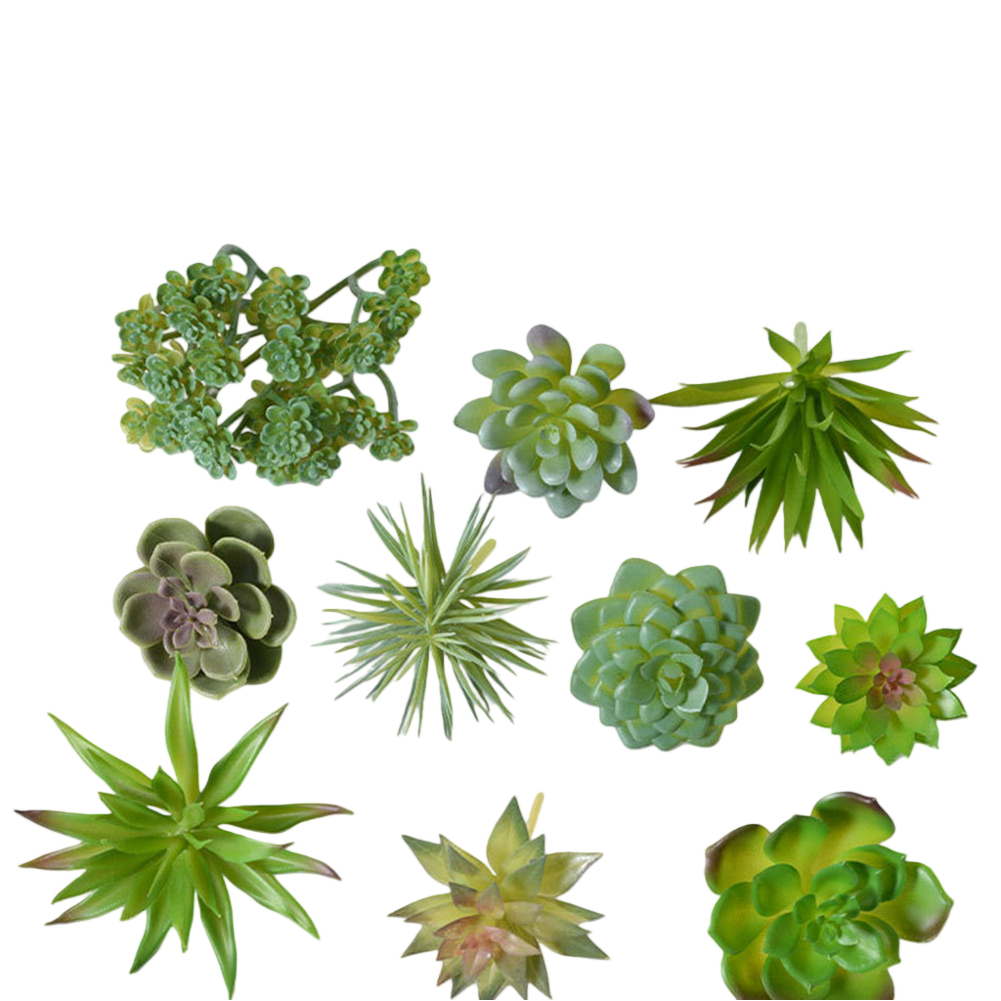 Künstliche Mini-Bonsai-Sukkule – Succulent Arrangement Mini Bewertung und Preis