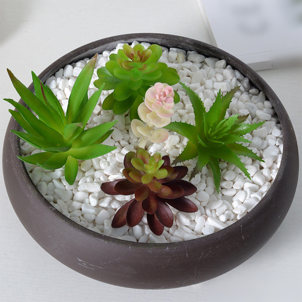 Künstliche Mini-Bonsai-Sukkule – Succulent Arrangement Mini Bewertung und Preis