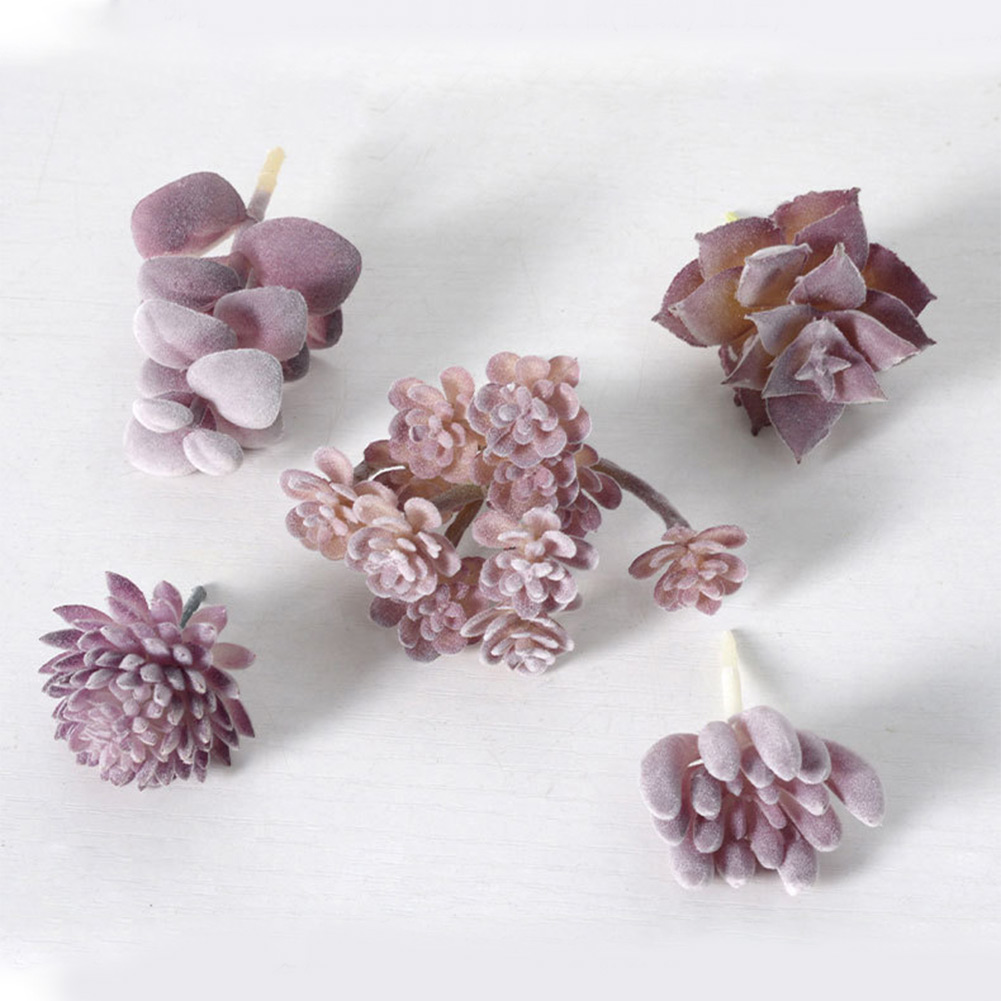 Bezauberndes Mini-Bonsai-Sukku – Succulent Arrangement Mini Bewertung und Preis