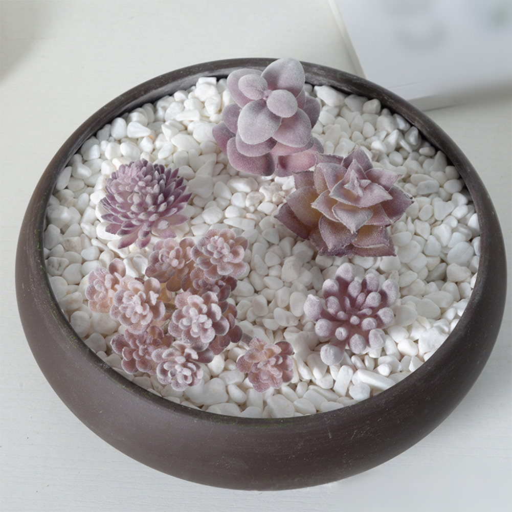 Fotografie-Requisite im Mini-B – Succulent Arrangement Mini Bewertung und Preis