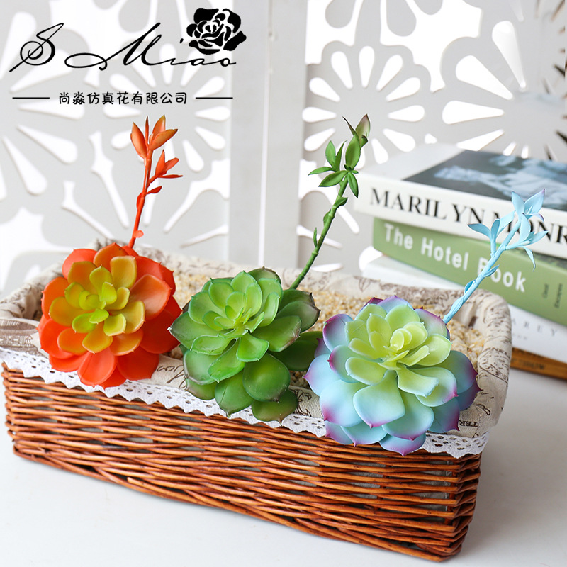 Wusmart Zhong Shi Lian große k – Succulent Arrangement Mini Bewertung und Preis