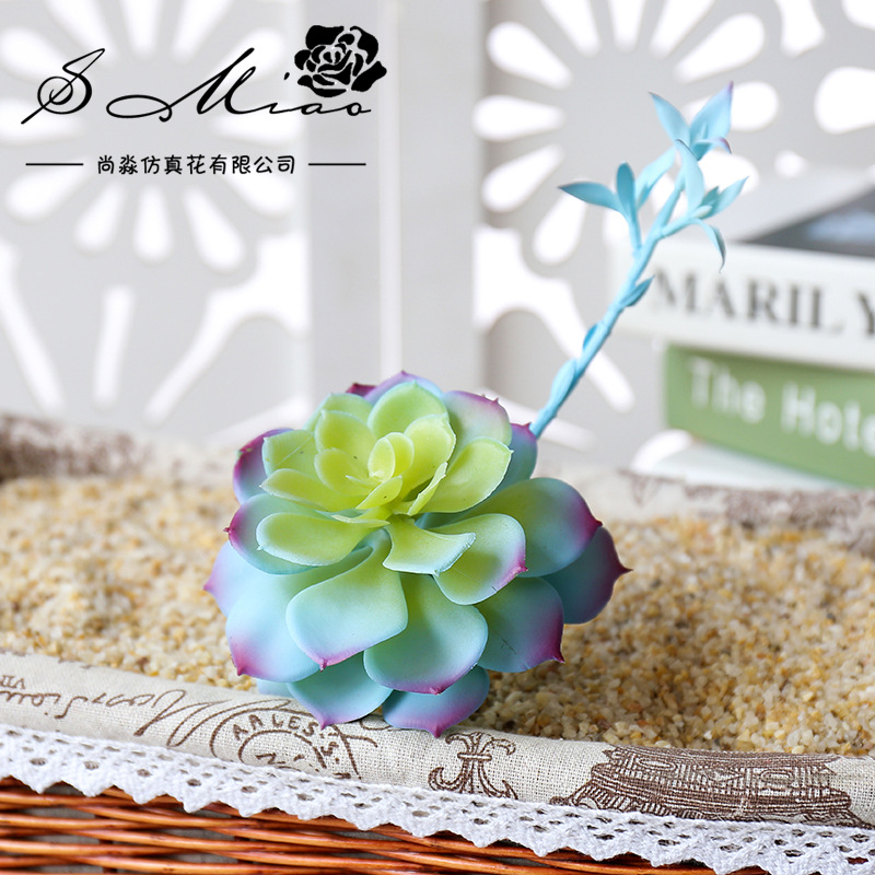 Wusmart Zhong Shi Lian große k – Succulent Arrangement Mini Bewertung und Preis