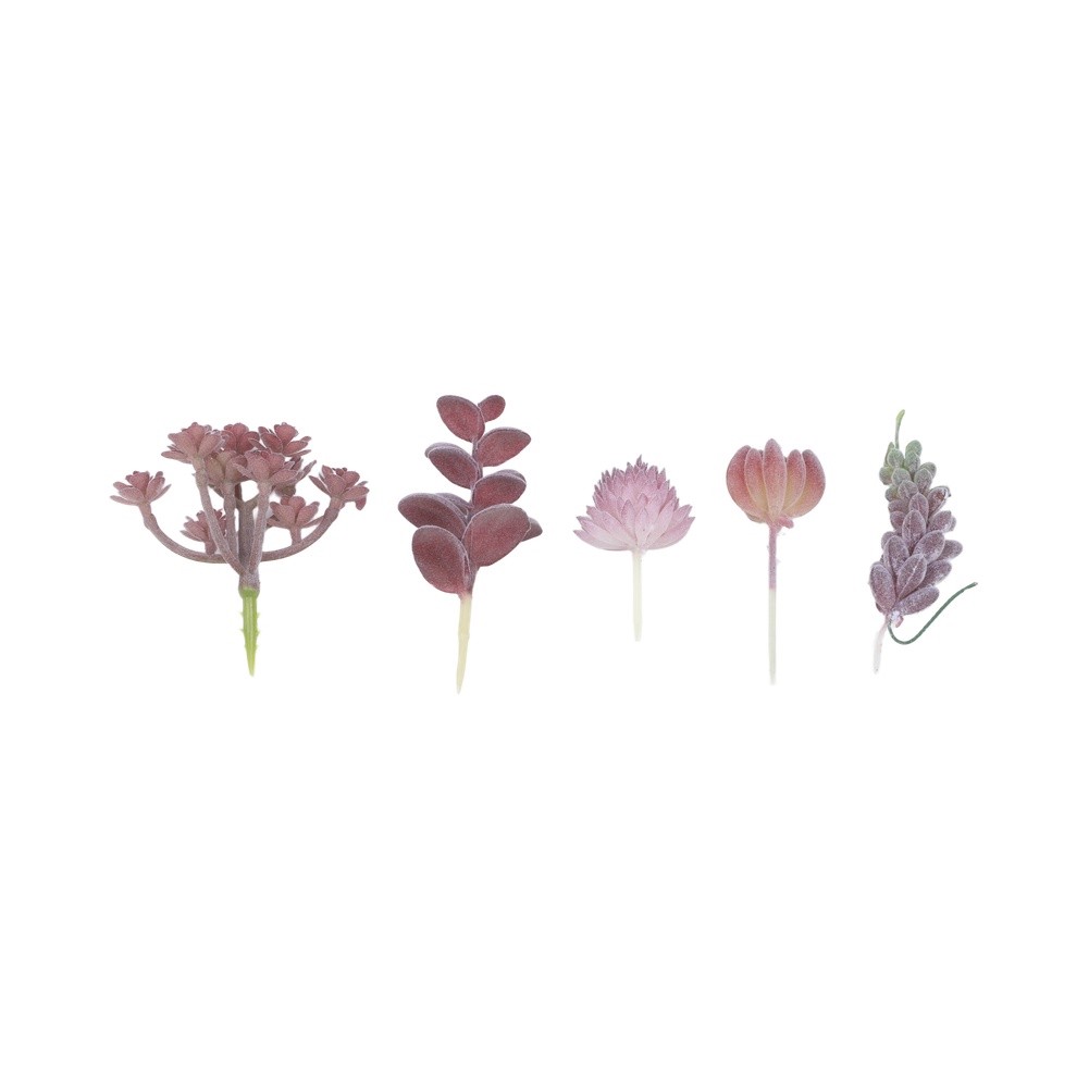 Zeitgenössisches Kunstpflanzen – Succulent Arrangement Mini Bewertung und Preis