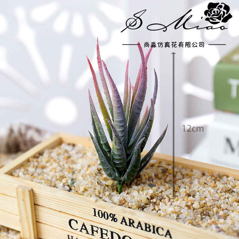 Wusmart Ban Ma Lu Hui Künstlic – Succulent Arrangement Mini Bewertung und Preis