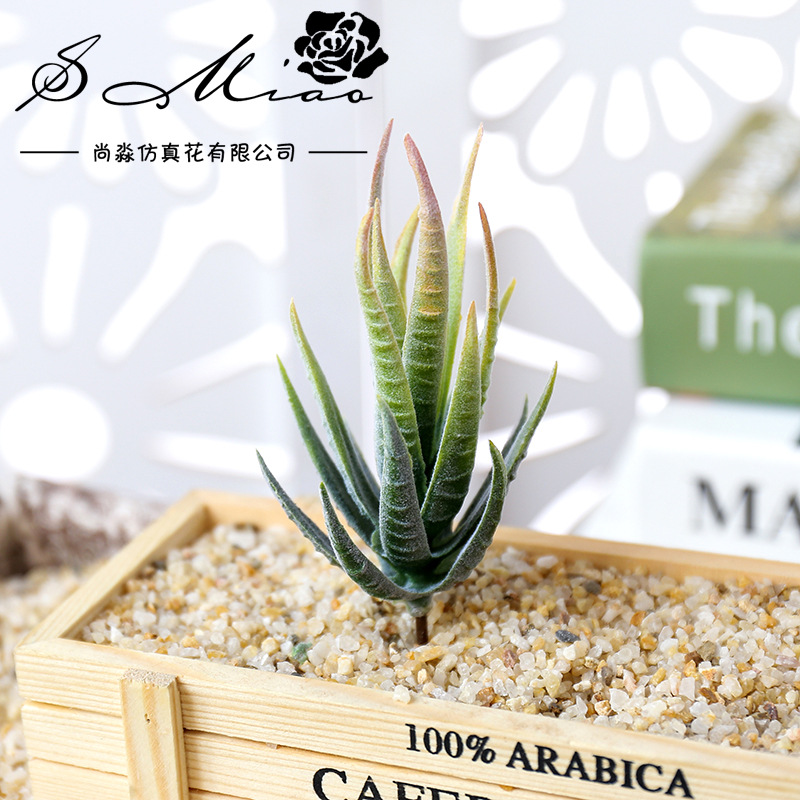 Wusmart Ban Ma Lu Hui Künstlic – Succulent Arrangement Mini Bewertung und Preis